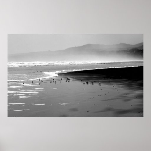 Birds in the tide B&W Print