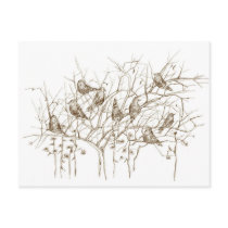 Birds in Tree Pen and Ink Sketch Postcard