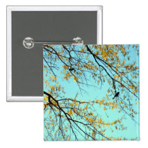 Birds in tree. pinback button