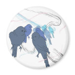 birds magnets