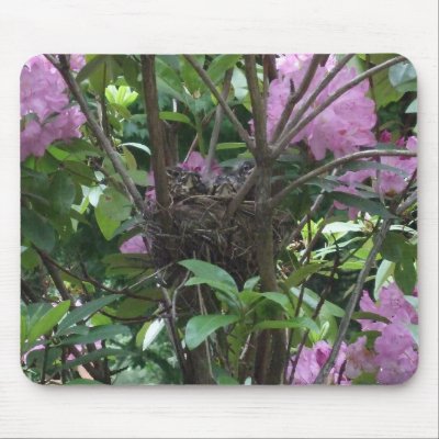Bird's Nest in Rhododendron Bush Mouse Pads by wondersofwnc