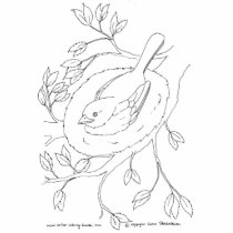 Bird's Nest Line Drawing