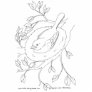 Bird's Nest Line Drawing