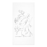 Bird's Nest photo cards