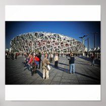 Birds Nest Print