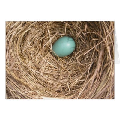 Birds' Nest (West Virginia) Cards by Godmotherarts