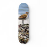 Birds Oceans Beaches Skate Deck