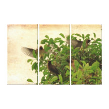 Birds of a feather. stretched canvas print