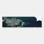 Birds Of Luck Bumper Sticker
