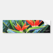 Birds of Paradise Bumper Stickers