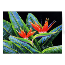 Birds of Paradise Card