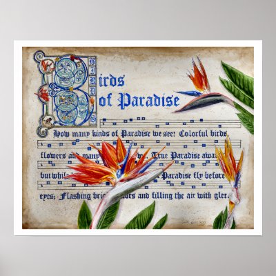 Birds of Paradise Manuscript Poster