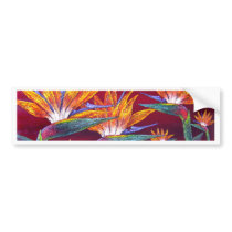 Birds Of Paradise Tropical Flower - Multi