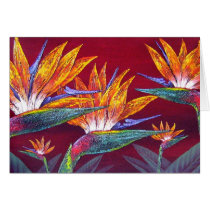 Birds Of Paradise Tropical Flower - Multi