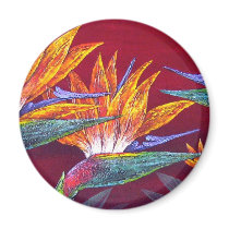 Birds Of Paradise Tropical Flower - Multi