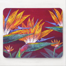 Birds Of Paradise Tropical Flower - Multi