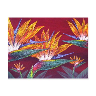 Birds Of Paradise Tropical Flower - Multi by JUDERM