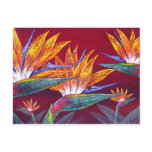 Birds Of Paradise Tropical Flower - Multi postcards