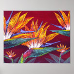 Birds Of Paradise Tropical Flower - Multi posters