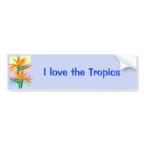 Birds of Paradise with Pastel Rainbow Background