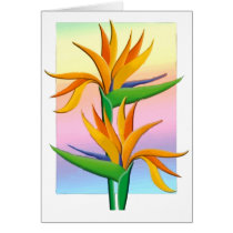 Birds of Paradise with Pastel Rainbow Background