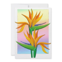 Birds of Paradise with Pastel Rainbow Background