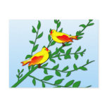 Birds of Peace Postcard