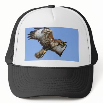 Birds of Prey Hats by Welshpixels
