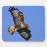 Birds of Prey Mousemats Mouse Pad
