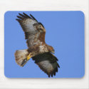 Birds of Prey Mousemats mousepads