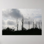Birds of the Everglades posters
