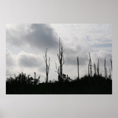 Birds of the Everglades Poster by pattirm1