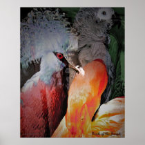 Birds of the Jungle Posters