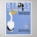 Birds Of The World 1938 WPA posters