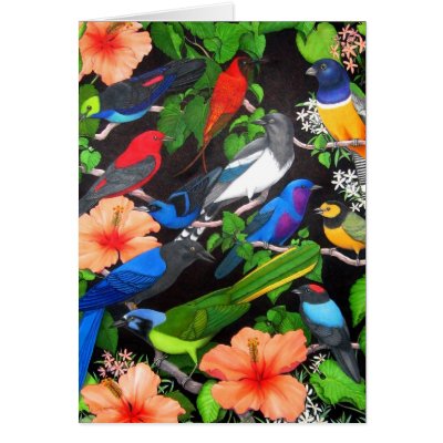 Birds of the Yucatan Peninsula Greeting Card by twopurringcats