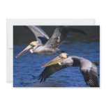 Birds of Various Forms invitations