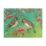 Birds of Winter Post Cards