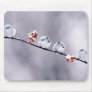 Birds on a Branch Mousepad