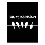 Birds on a wire – dare to be different (black) post card