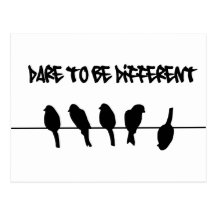 Birds on a wire – dare to be different postcard