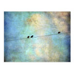 Birds on a Wire Digital Art Postcard