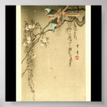 Birds on Cherry Tree by Seitei Watanabe 1851- 1918 Print