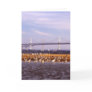 Birds on Chesapeake Bay Card