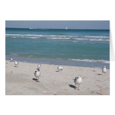 birds on ocean beach greeting cards by sbkerrick