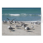 birds on ocean beach greeting cards