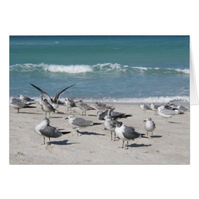 birds on ocean beach greeting cards by sbkerrick