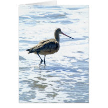 Birds on Stinson Beach Image #1 Card