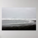 Birds on the Beach Poster