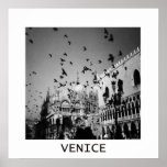 Birds over Venice posters