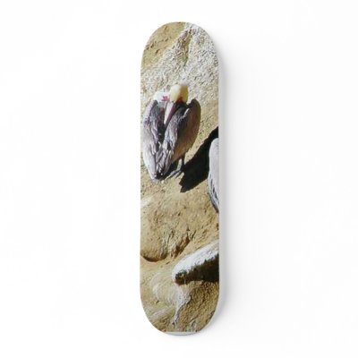 Birds Pelicans Poop Custom Skate Board by lifesphere